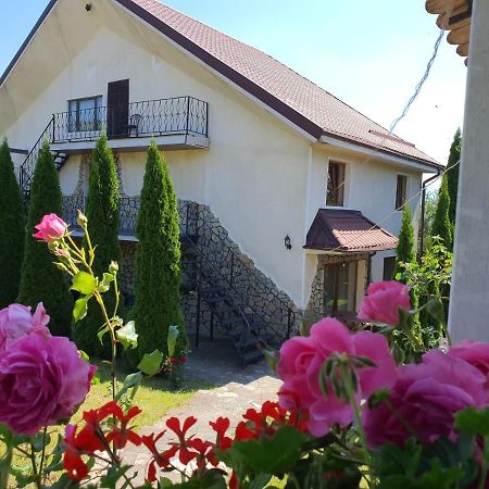 Casa Carpati Zarnesti Exterior foto