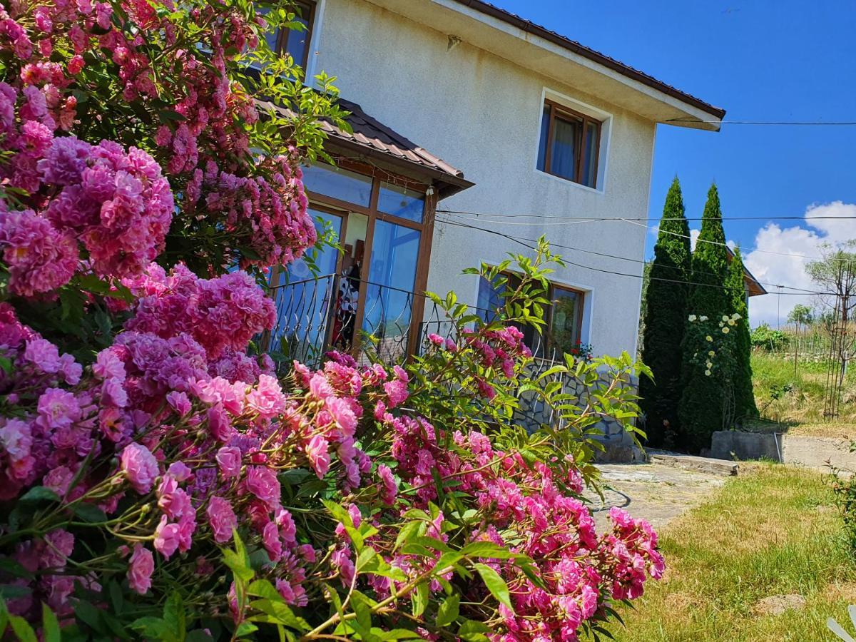Casa Carpati Zarnesti Exterior foto